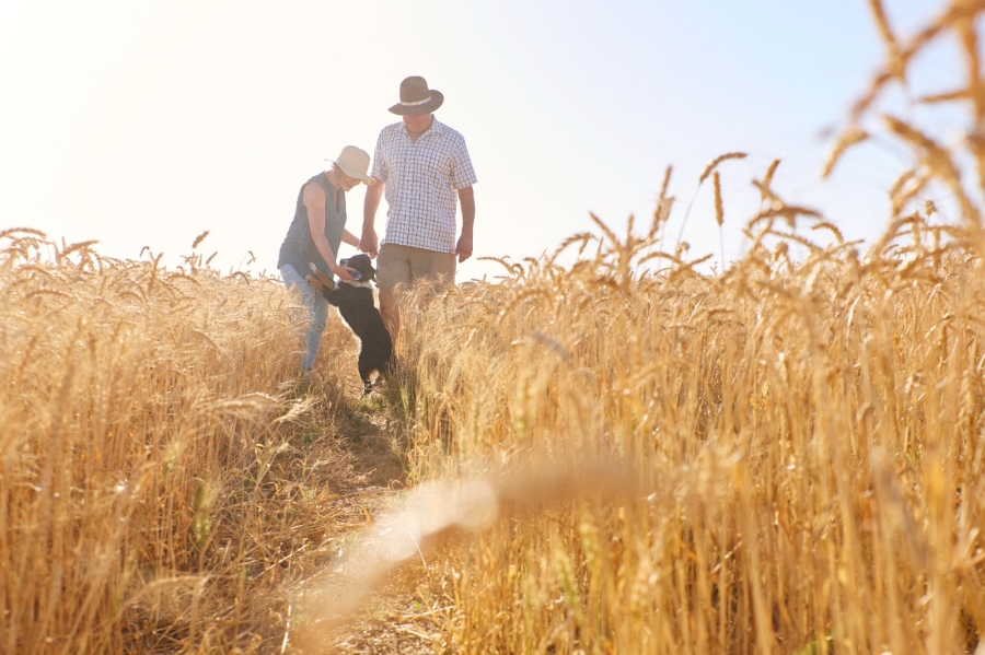 0 Bedroom Property for Sale in Koringberg Western Cape